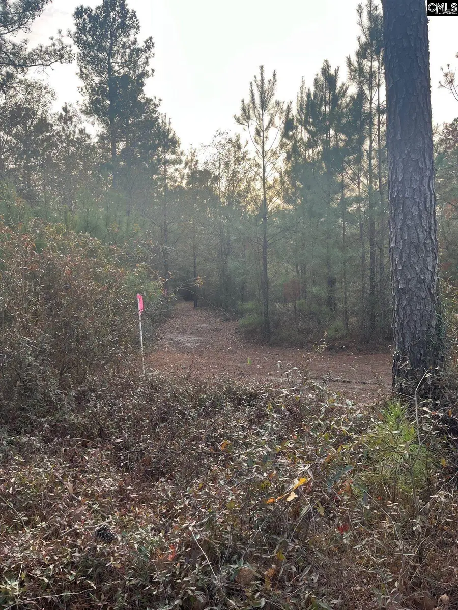 GOO 11A Wendell Lane #GOO 11A, Wagener, SC 29164 - #2