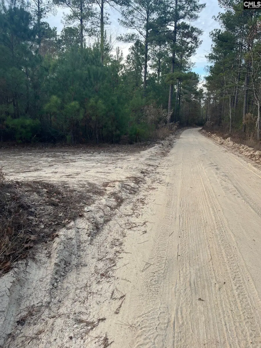 GOO 11A Wendell Lane #GOO 11A, Wagener, SC 29164 - #3