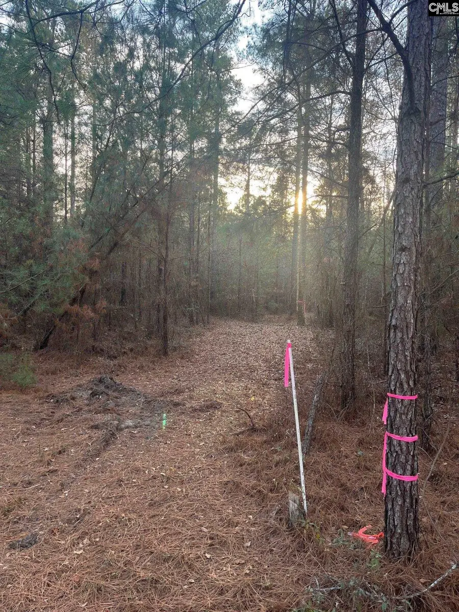 GOO 11B Wendell Lane #GOO 11B, Wagener, SC 29164 - #2