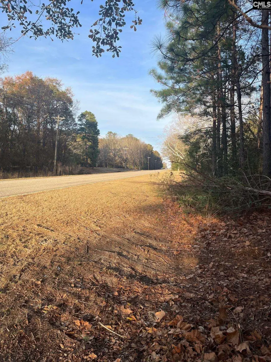 DSH 4 Wagener Road #DSH 4, Wagener, SC 29164 - #2