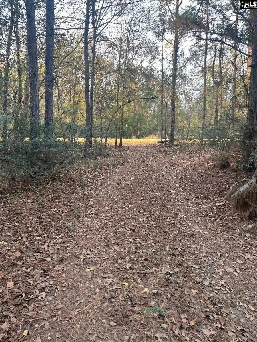 DSH 4 Wagener Road #DSH 4, Wagener, SC 29164 - #3