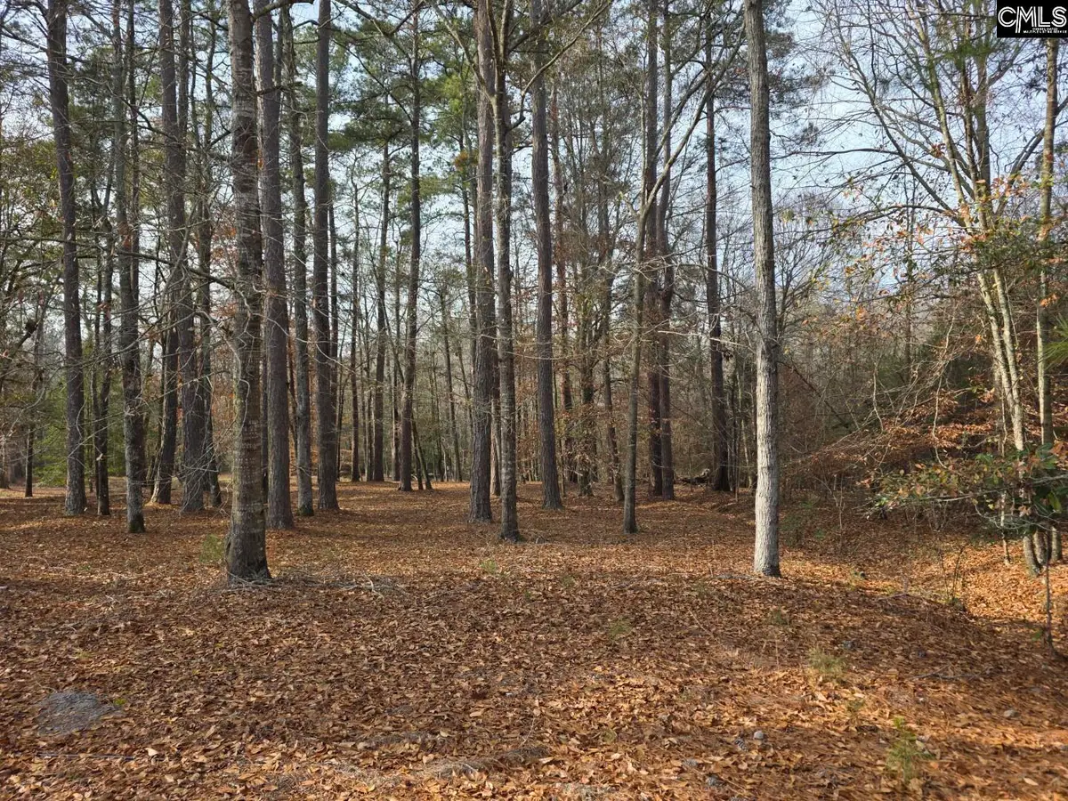 142 Orange Parish Street, Orangeburg, SC 29118 - #1