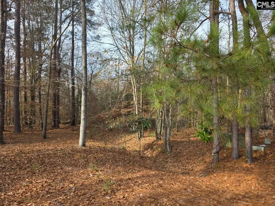 142 Orange Parish Street, Orangeburg, SC 29118 - #3