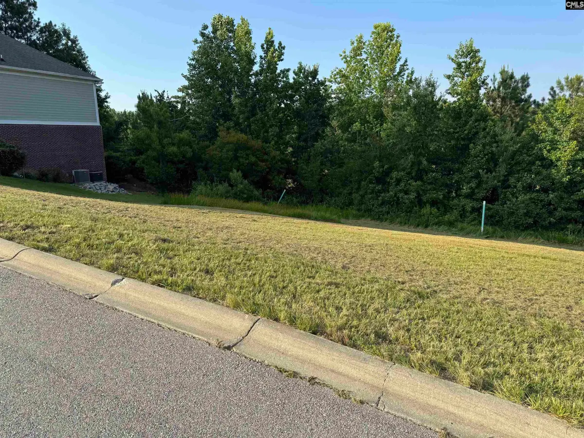 421 Bosque Circle, Blythewood, SC 29016 - #1