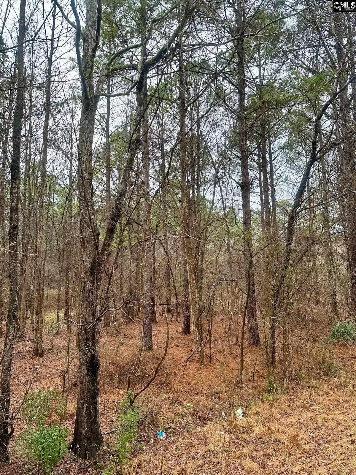 1176 Great Falls Highway, Chester, SC 29706 - #1