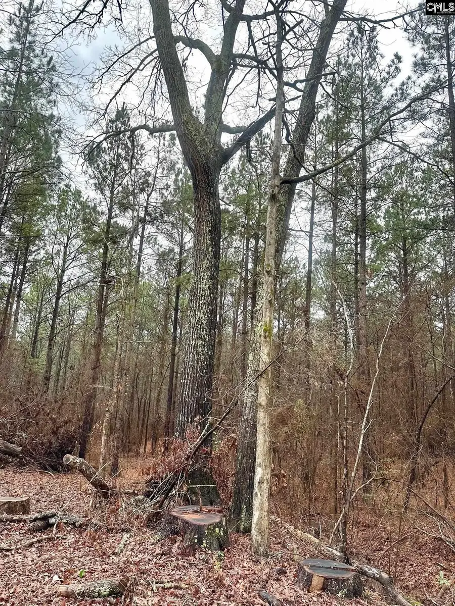 1176 Great Falls Highway, Chester, SC 29706 - #2