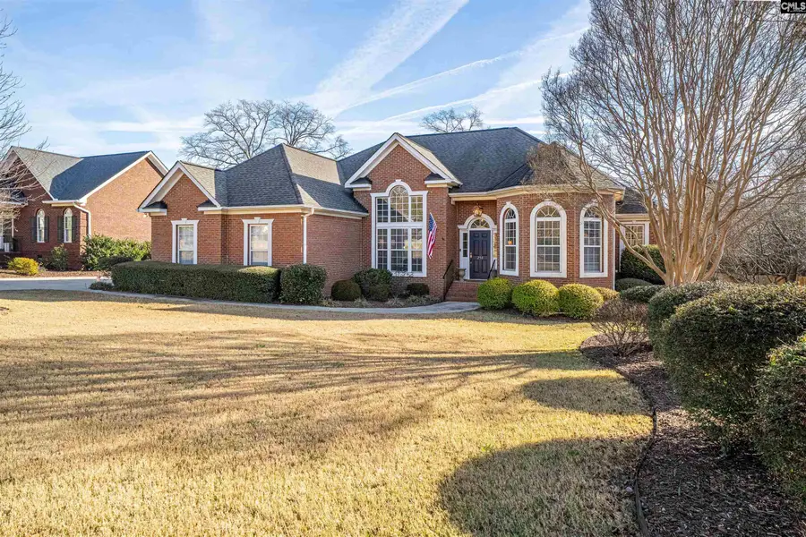 253 Vista Springs Circle, Lexington, SC 29072 - Image #2