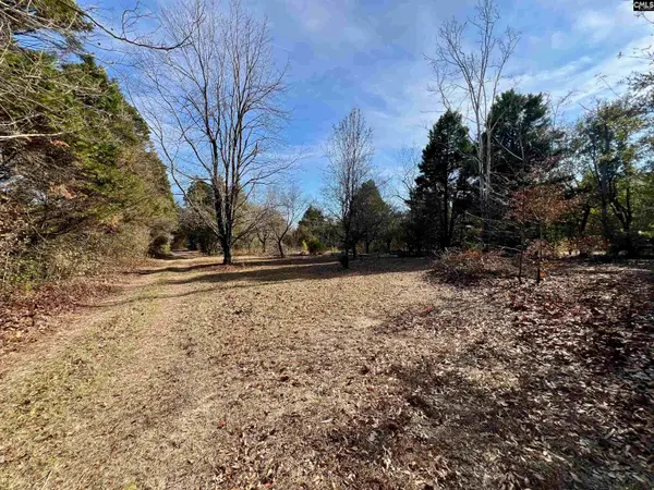 241 Megill Drive, Pelion, SC 29123