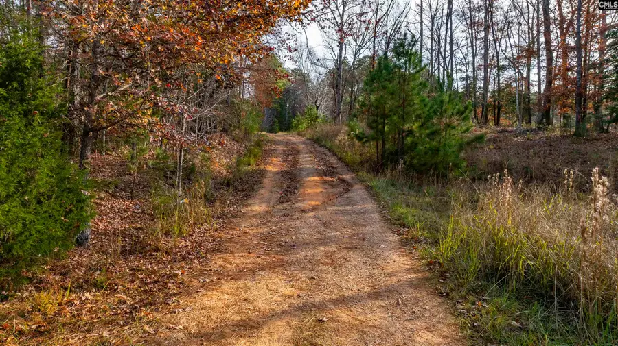 NE S Muddy Ford Road, Little Mountain, SC 29075 - Image #3
