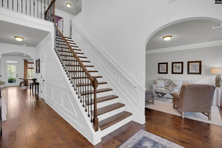 812 Village Well Court, Chapin, SC 29036 - Image #3