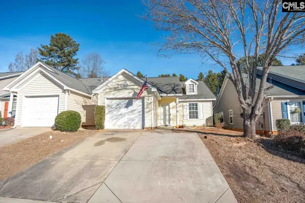 115 Merowey Court, Chapin, SC 29036