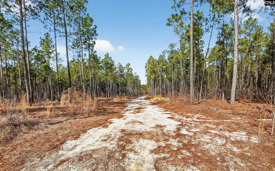 1379 Cheraw Road, Cassatt, SC 29032 - Image #2