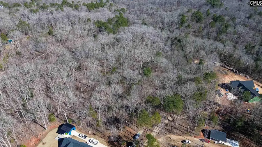 1142 Osheal Road, Irmo, SC 29063 - #2