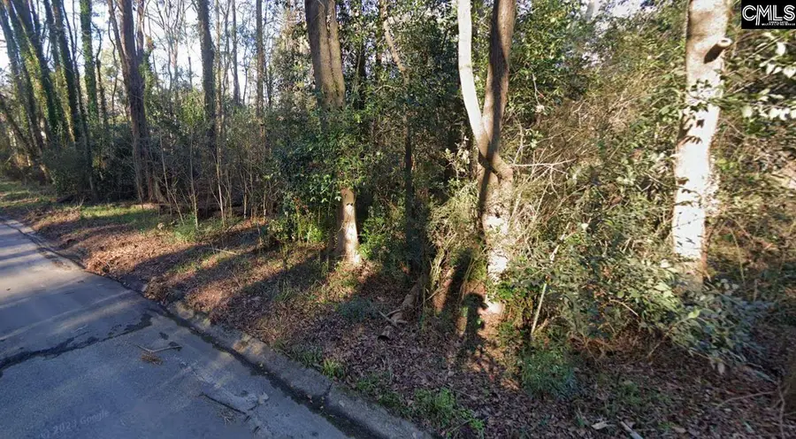 0 Terrace View Drive, West Columbia, SC 29169 - Image #3