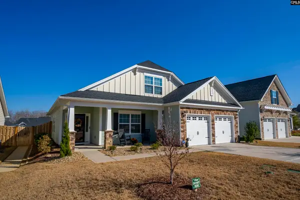 28 Starry Night Court, Chapin, SC 29036
