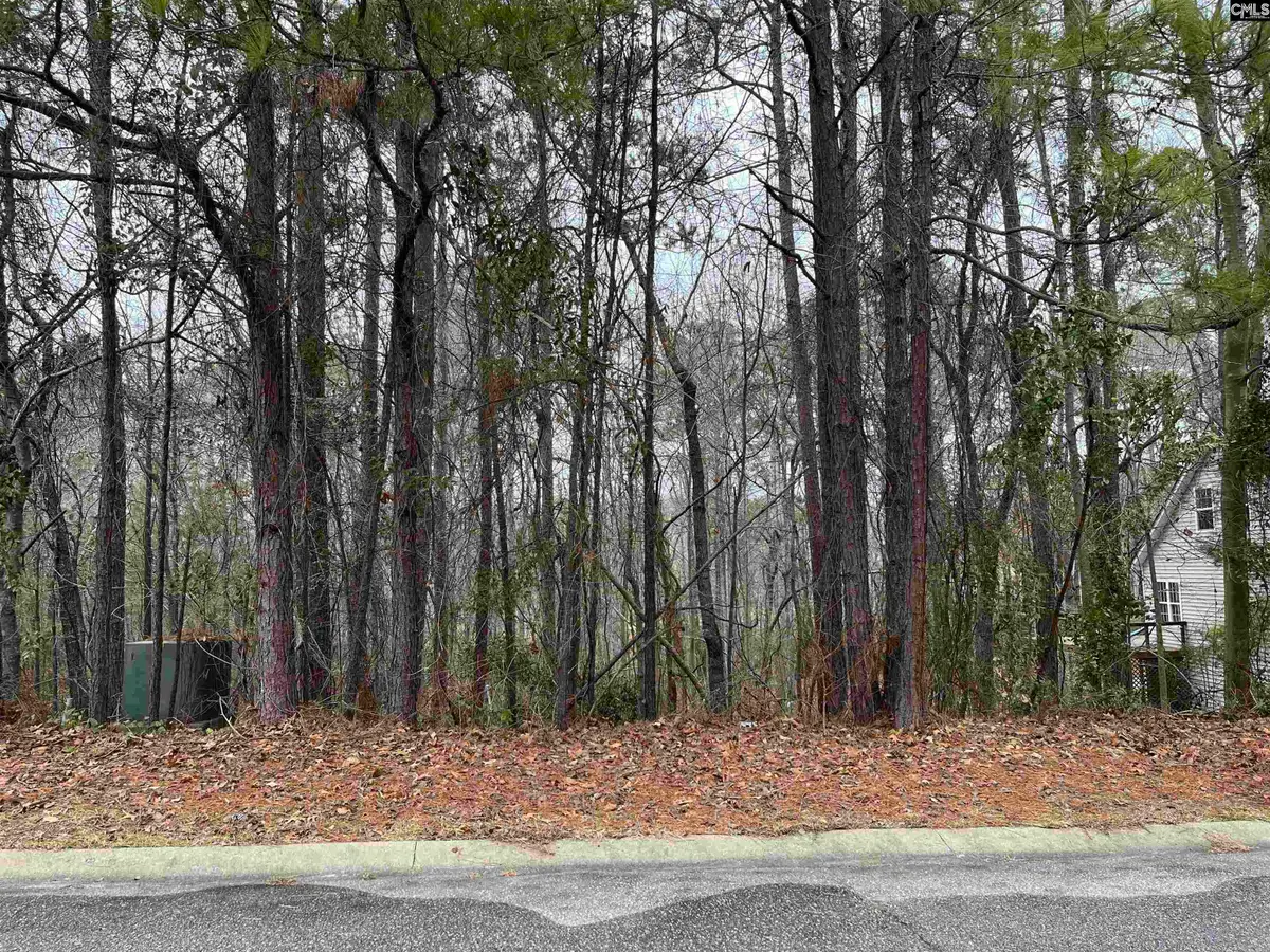 220 Waterville Drive, Columbia, SC 29229 - Image #1