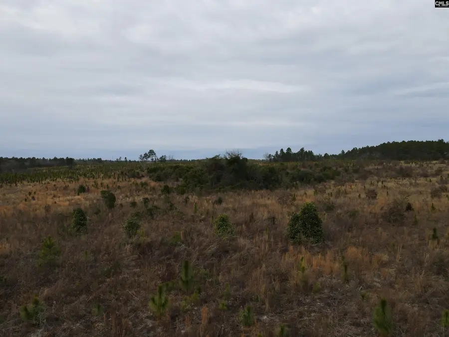 Tract 1 Park Road, Cassatt, SC 29032 - Image #3