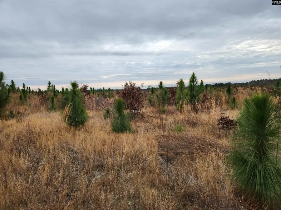 Tract 6 Park Road, Cassatt, SC 29032 - Image #2