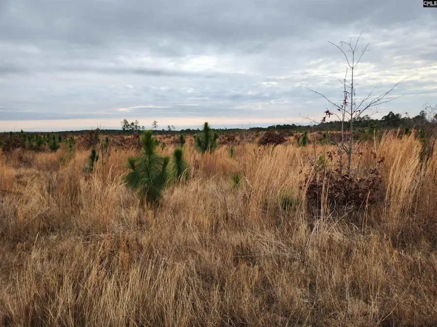 Tract 15 Holland Lane, Camden, SC 29020 - #3