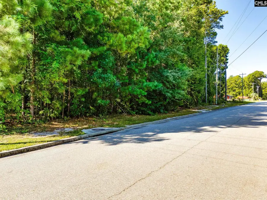 138 Ballard Court, West Columbia, SC 29172 - #2