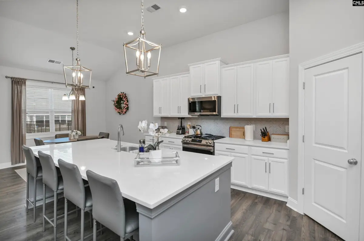 208 Doe Meadow Lane, Elgin, SC 29045 - #1
