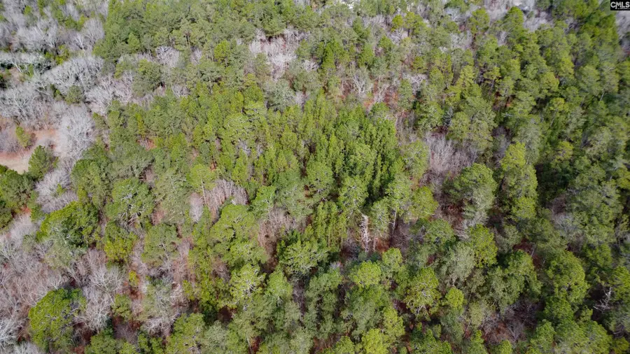 46 Timberline Drive, Camden, SC 29020 - Image #2