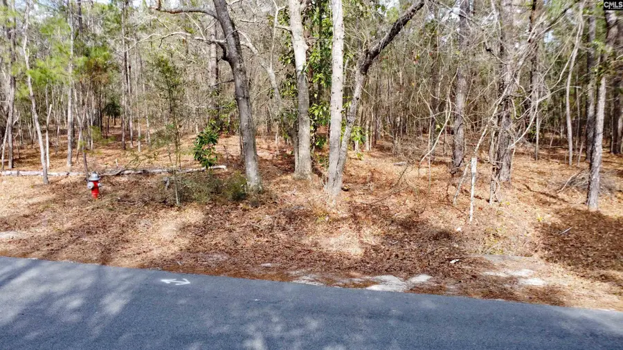 46 Timberline Drive, Camden, SC 29020 - Image #3