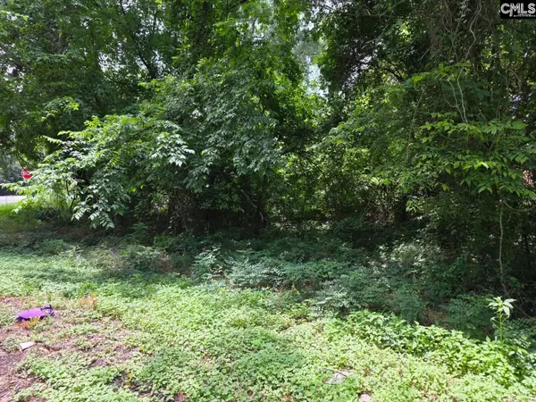 2729 Harlem Street, Columbia, SC 29209