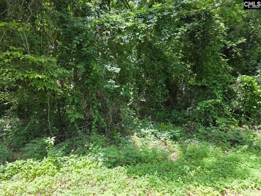 2729 Harlem Street, Columbia, SC 29209 - Image #2