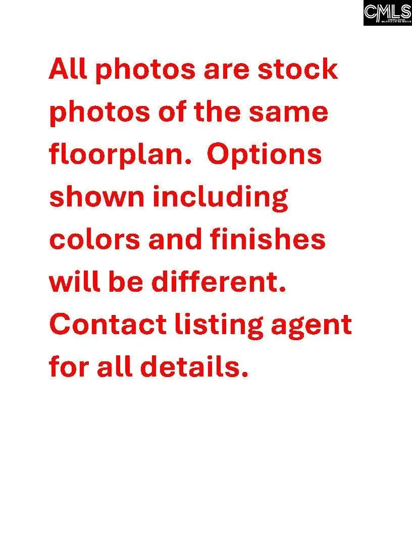 414 Rising Stream Way, Chapin, SC 29036 - Image #2