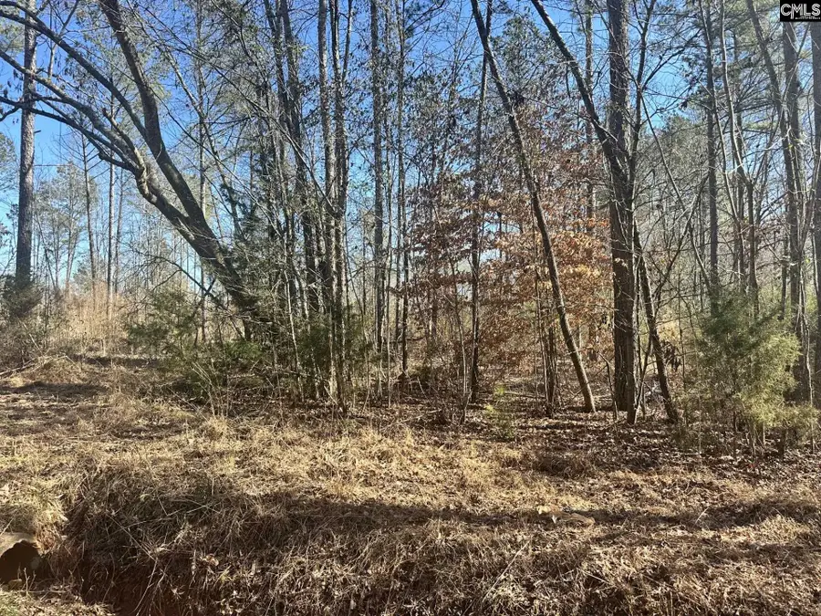 0 Morris Road, Prosperity, SC 29127 - Image #3