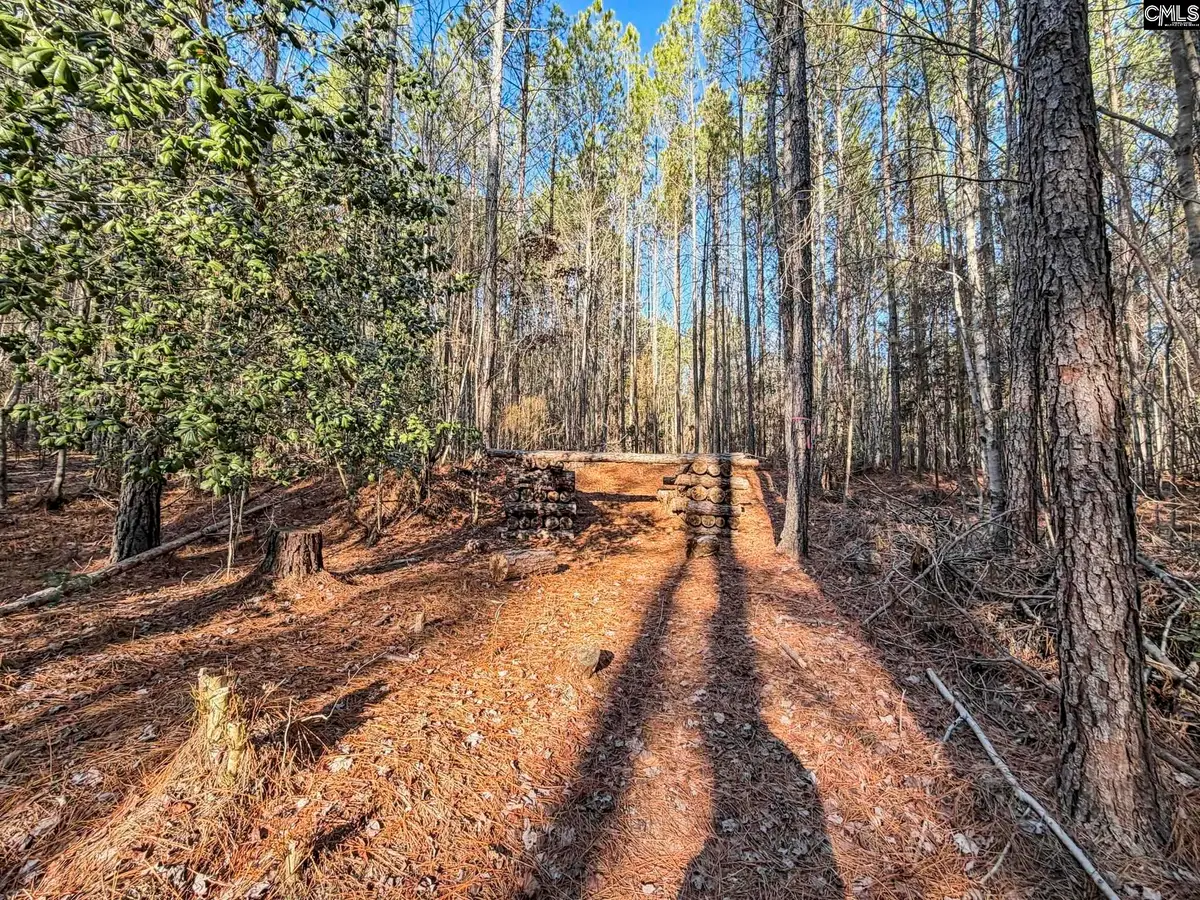 1651 Little Cedar Creek Road, Blythewood, SC 29016 - Image #1