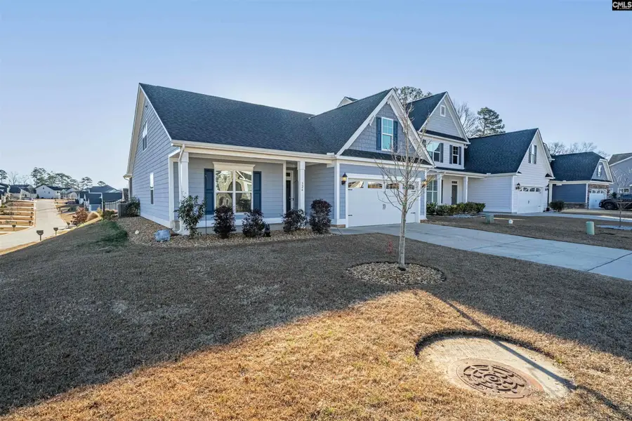 324 Brenthaven Drive, Chapin, SC 29036 - Image #3
