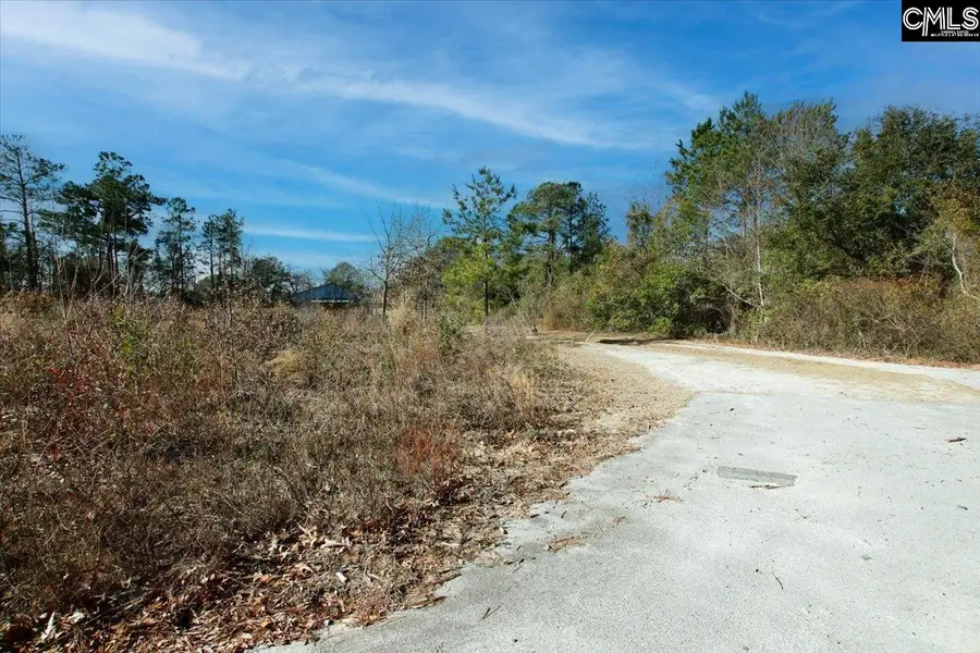 1107 Kelly Lane, Elgin, SC 29045 - Image #3