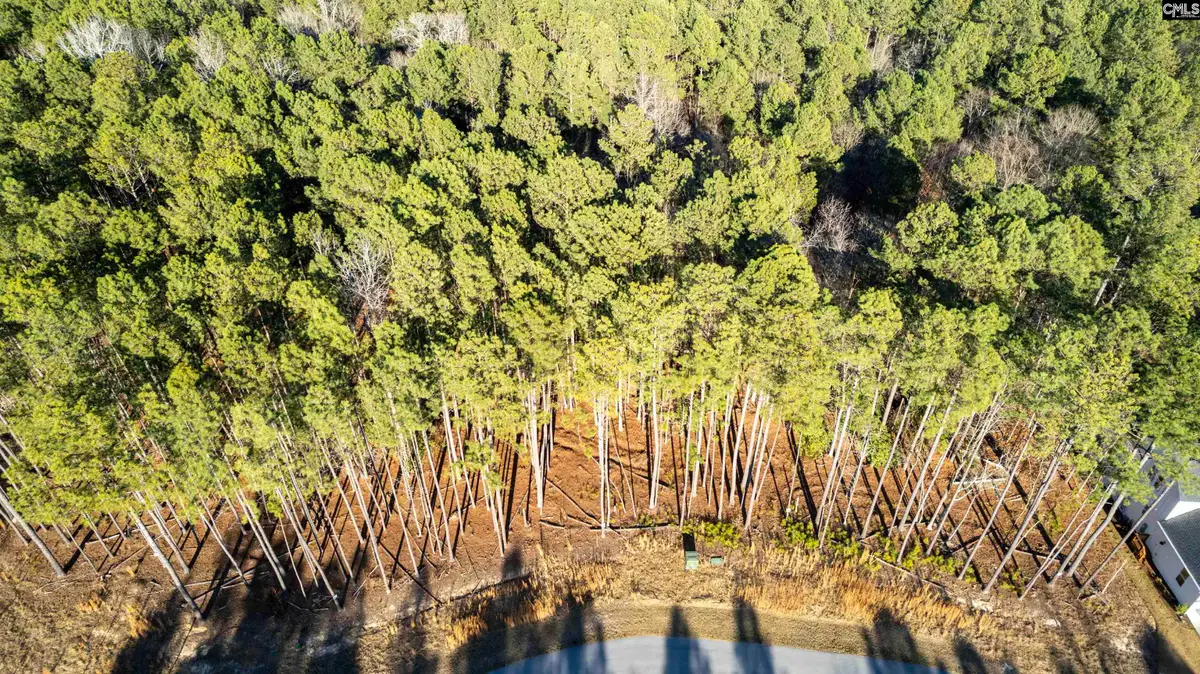 LOT 83 Timber Trail Lane, Columbia, SC 29217 - #1