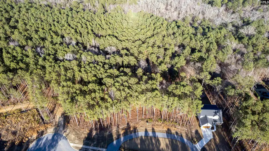 LOT 83 Timber Trail Lane, Columbia, SC 29217 - #2