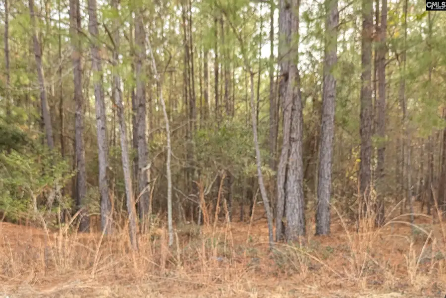 45 Fletcher Drive, Kershaw, SC 29067 - Image #2