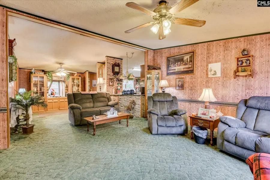 126 Airport Road, Wagener, SC 29164 - #3