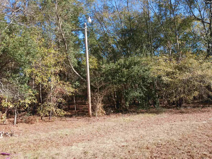158 Juju Lane, Orangeburg, SC 29118 - #3