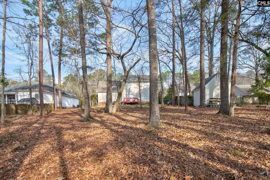 217 Caro Lane, Chapin, SC 29036 - #3