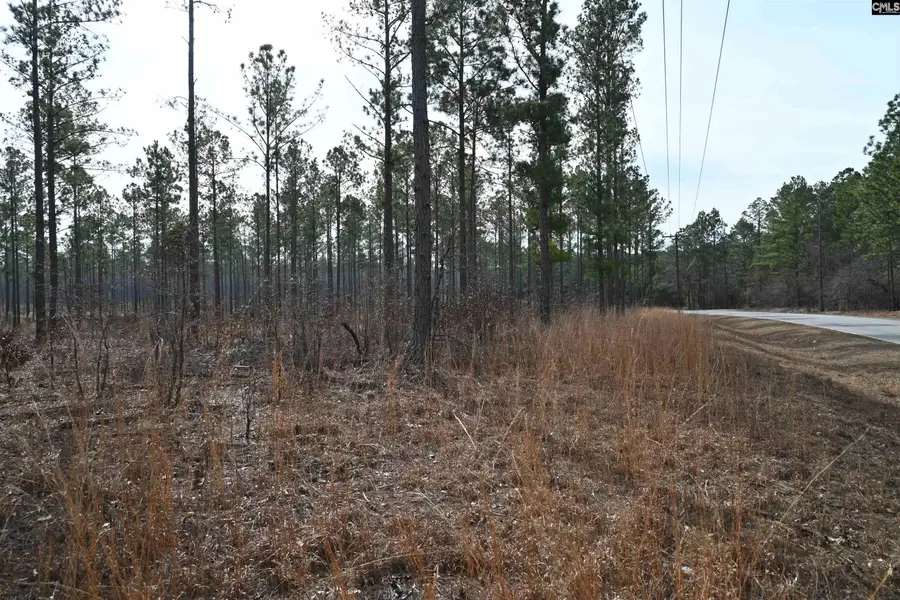 622 Pickett Thomas Road, Camden, SC 29020 - #2