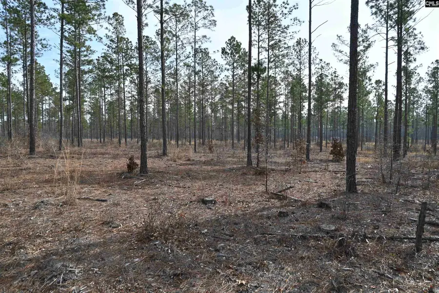 622 Pickett Thomas Road, Camden, SC 29020 - #3