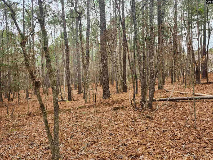 TBD Colonels Circle, Ridgeway, SC 29130 - #2