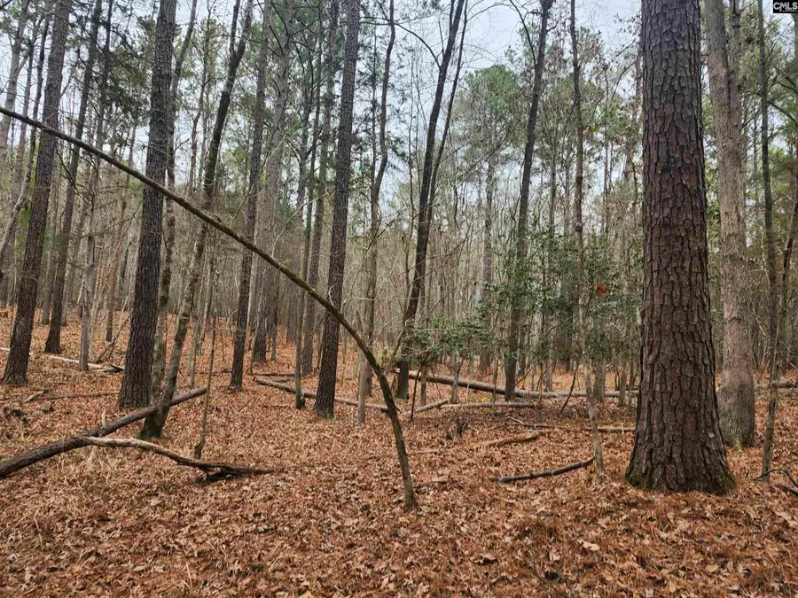 TBD Colonels Circle, Ridgeway, SC 29130 - #3