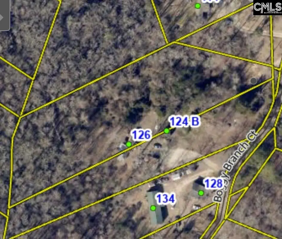 124 Boggy Branch Ct., Gaston, SC 29053 - #1