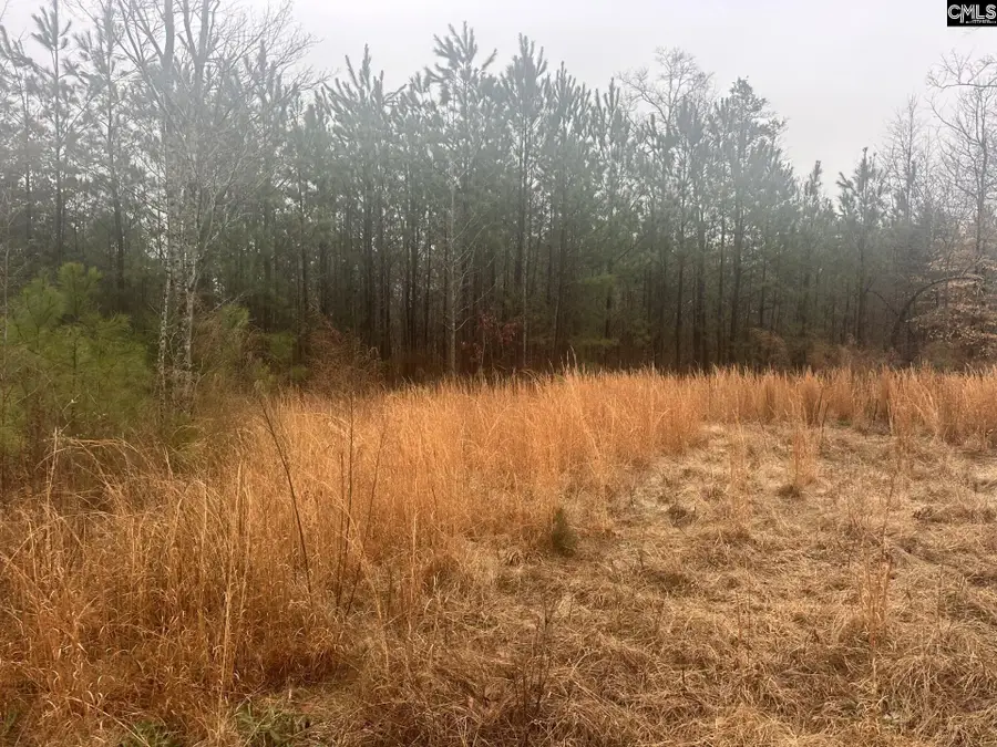 0 Plantation Acres Road, Newberry, SC 29108 - #2