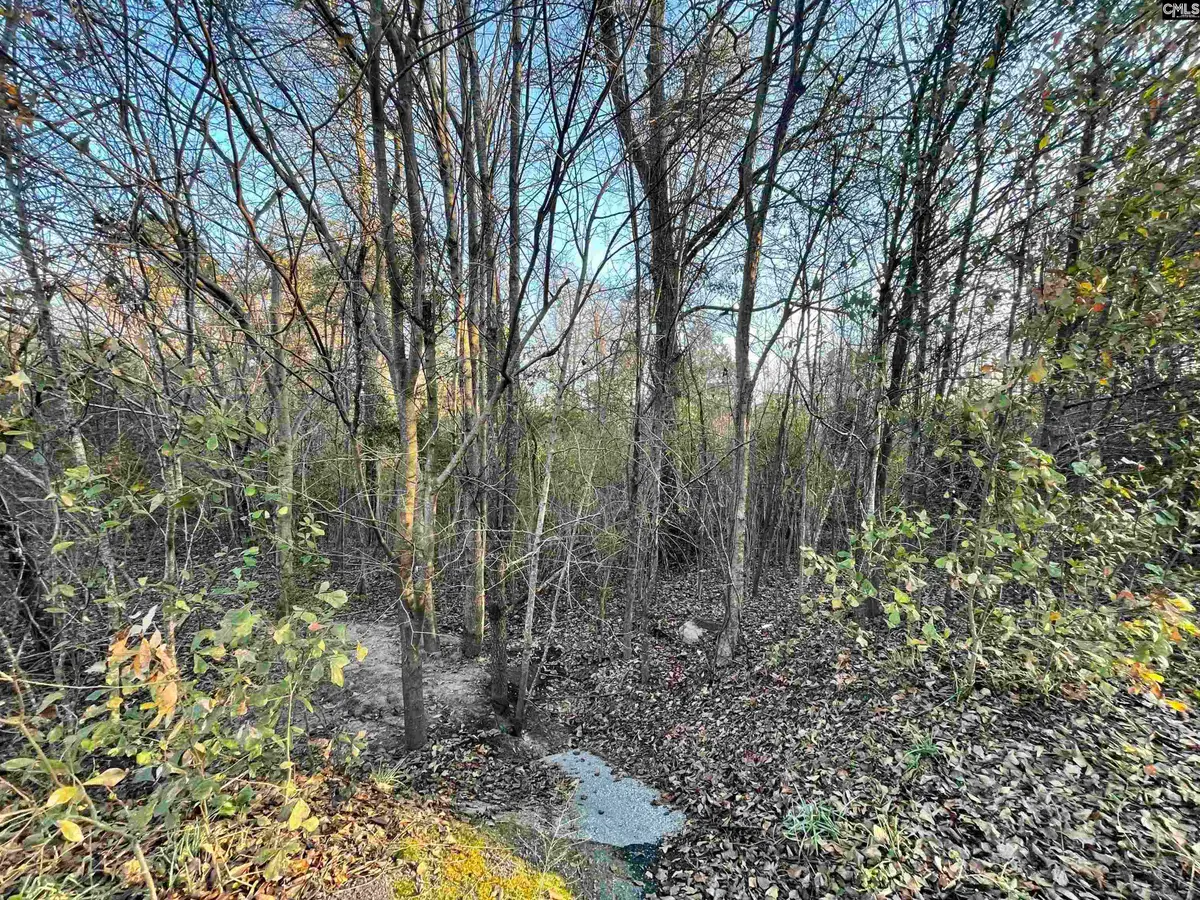 415 Forest Circle, New Ellenton, SC 29809 - Image #1