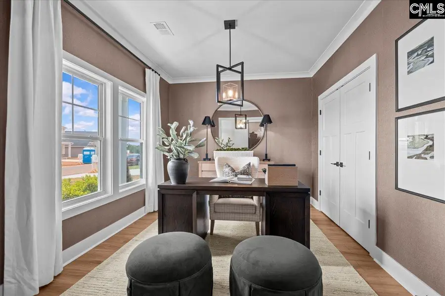 610 Griffon Drive, Chapin, SC 29036 - Image #3