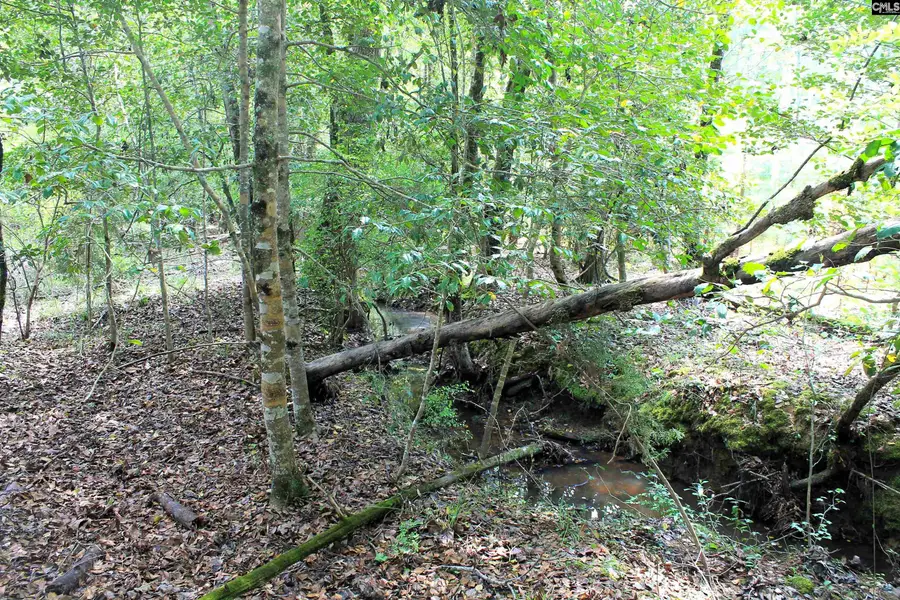 TBD Crooked Creek Road, Chapin, SC 29036 - #3