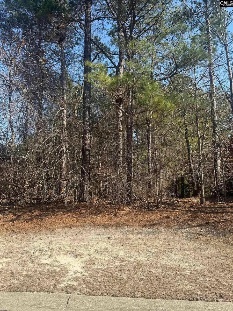 110 Mariners Cove Drive, Columbia, SC 29229 - Image #2